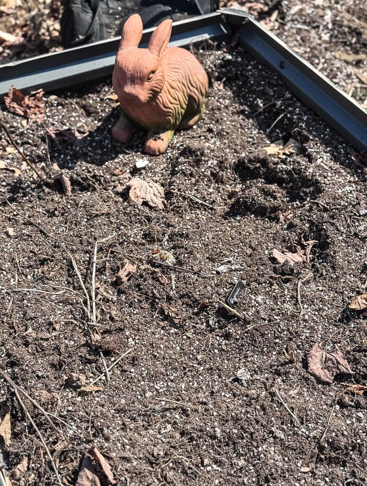empty raised garden bed with just soil
