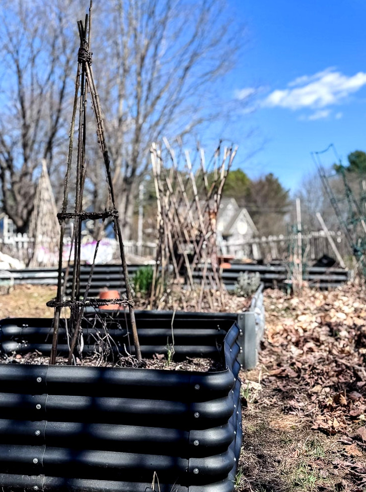 raised bed garden in early spring