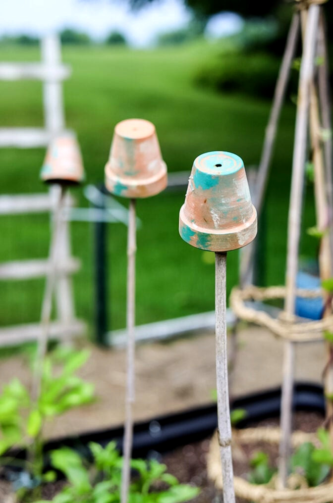 plant supports with terracotta pots