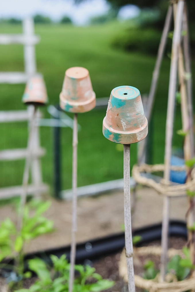 plant stakes with terracotta pots