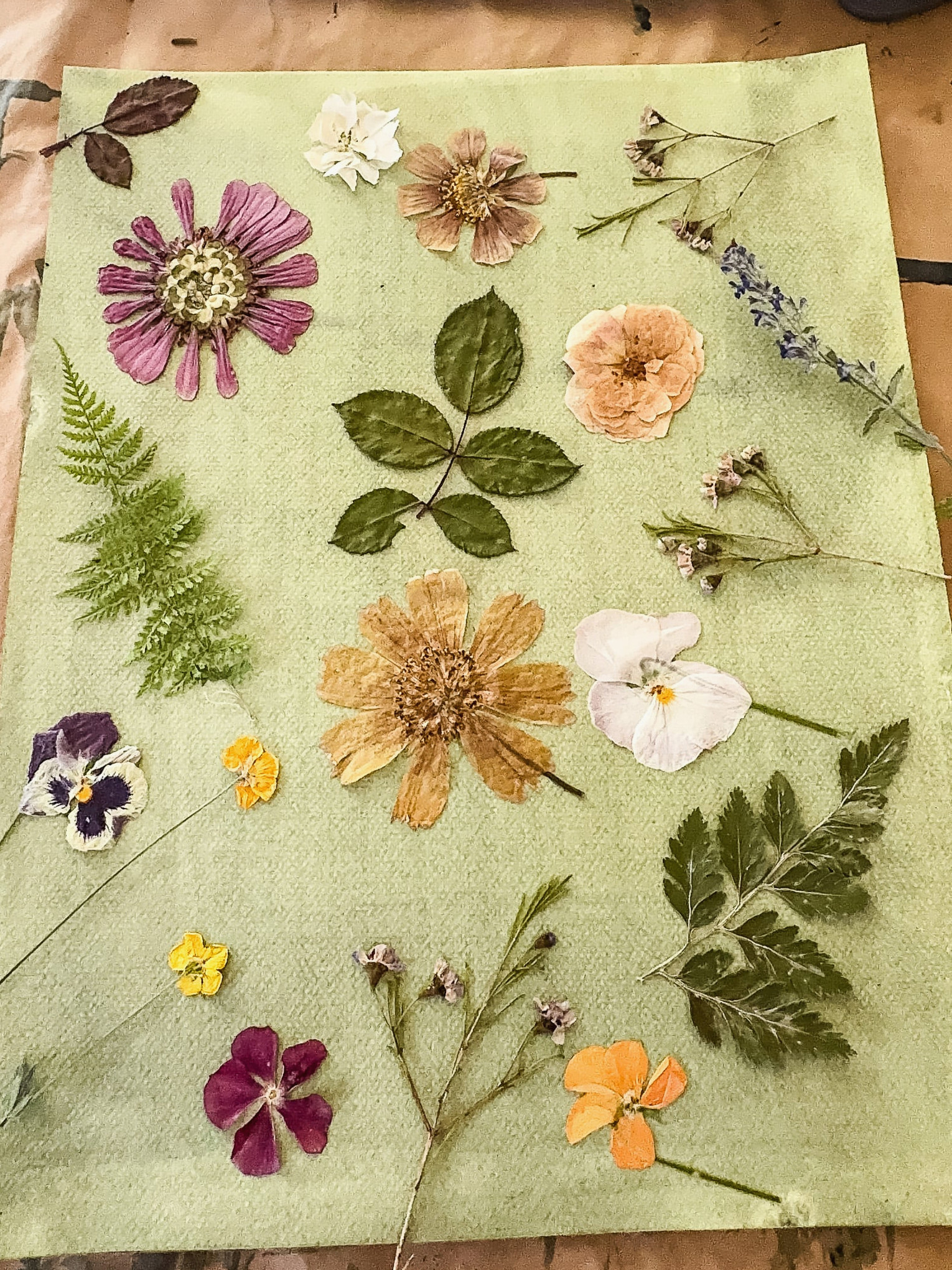 cyanotype with flower collage