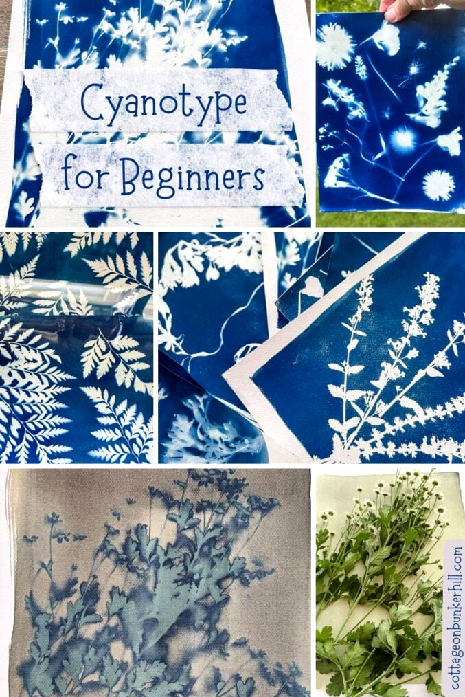 cyanotype collage of photos