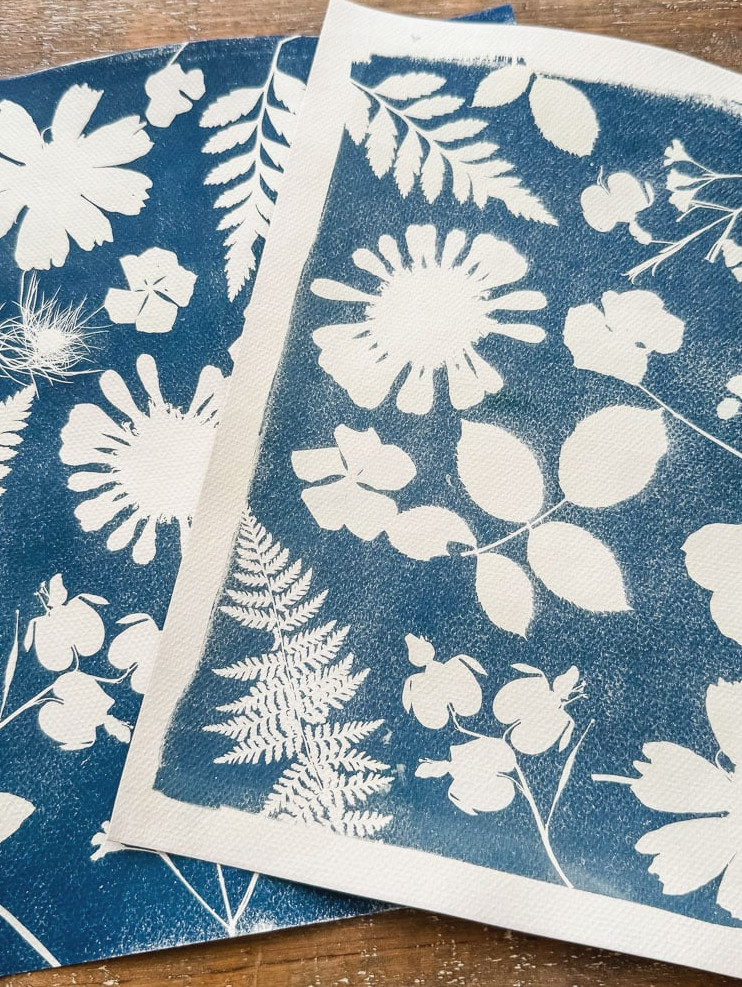 cyanotype prints