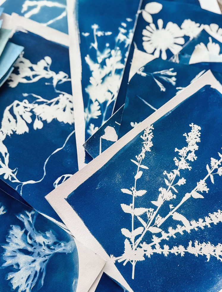 cyanotype sun prints