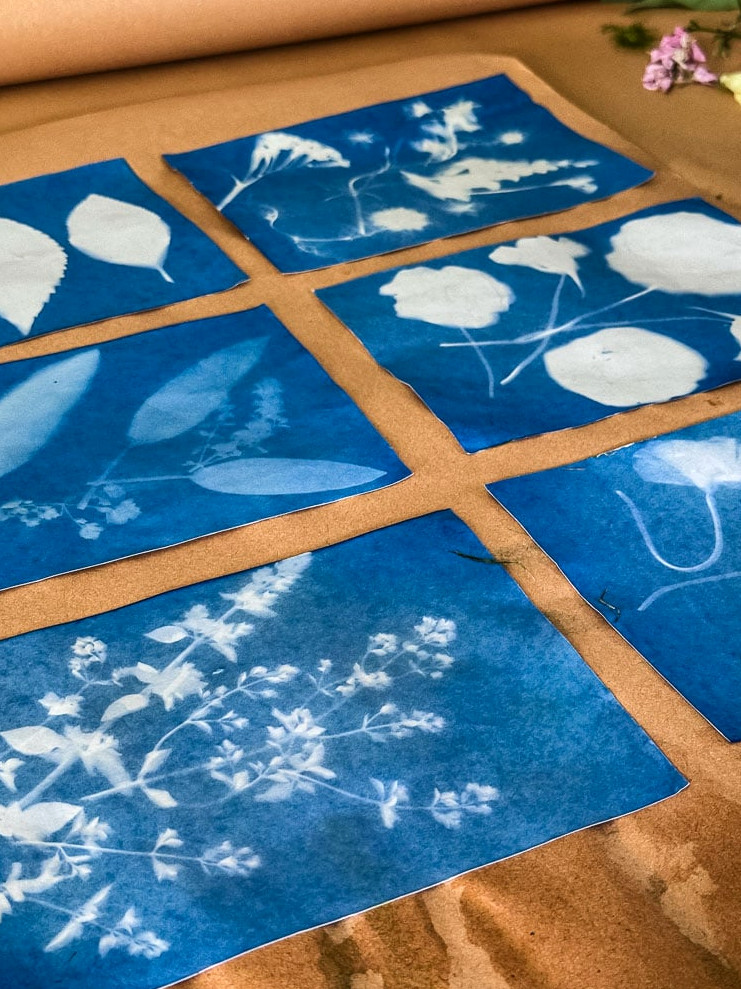 6 cyanotype prints drying