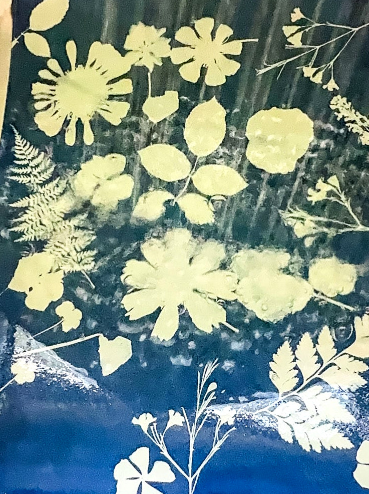 rinsing cyanotype print in water