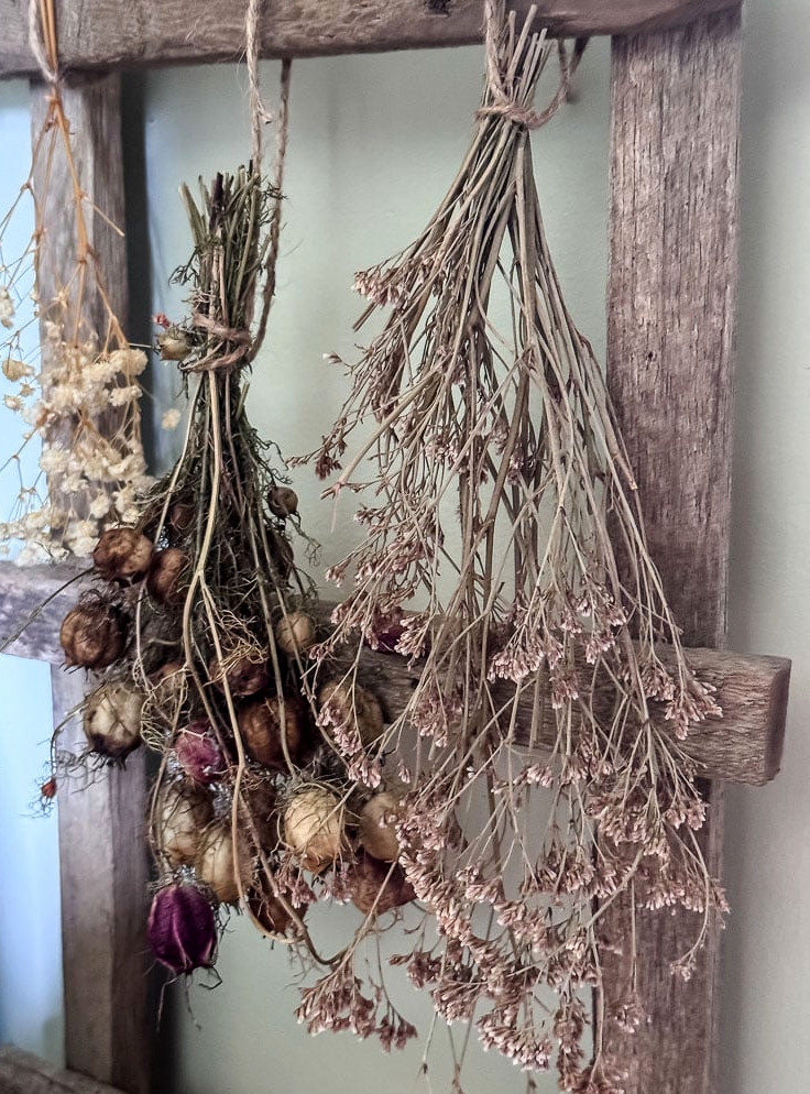 bundles of dried flowers hanging from a rustic ladder