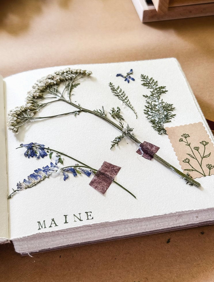 pressed flowers taped into a journal with "Maine" stamped on page