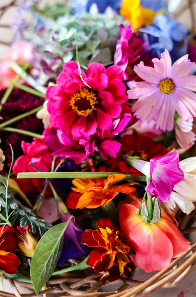 basket of fresh garden flowers in bright colors