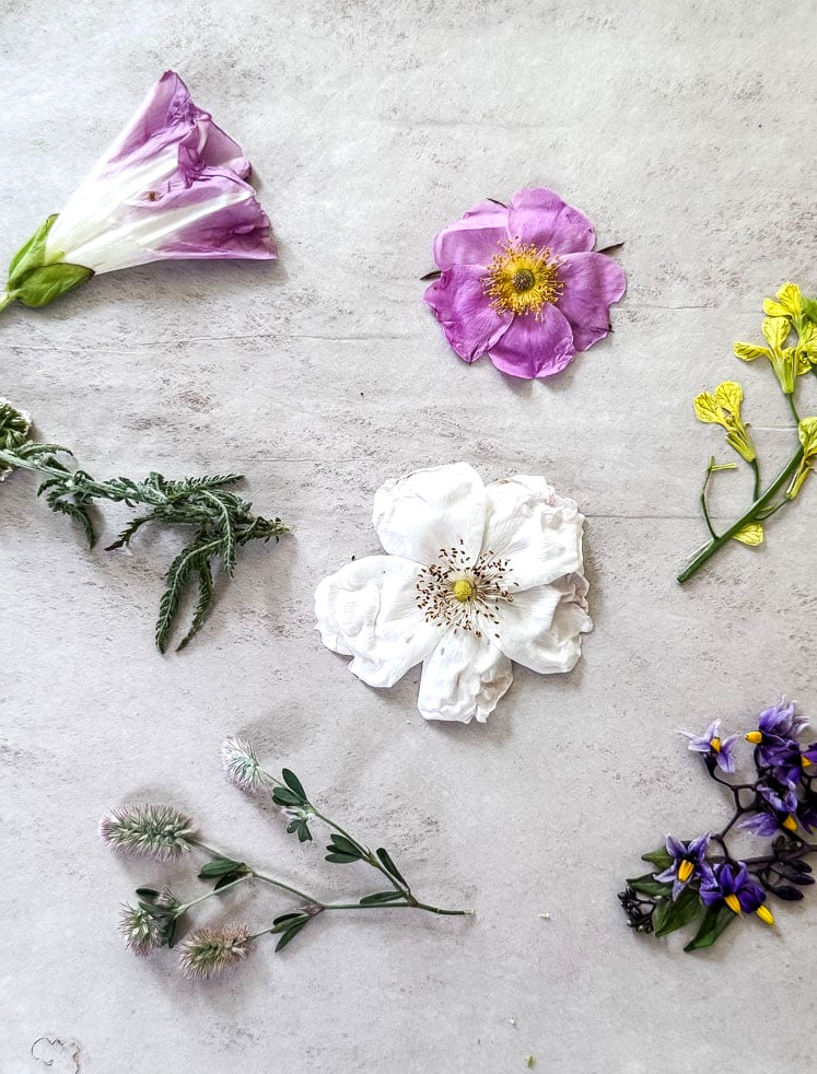 different flowers about to be pressed