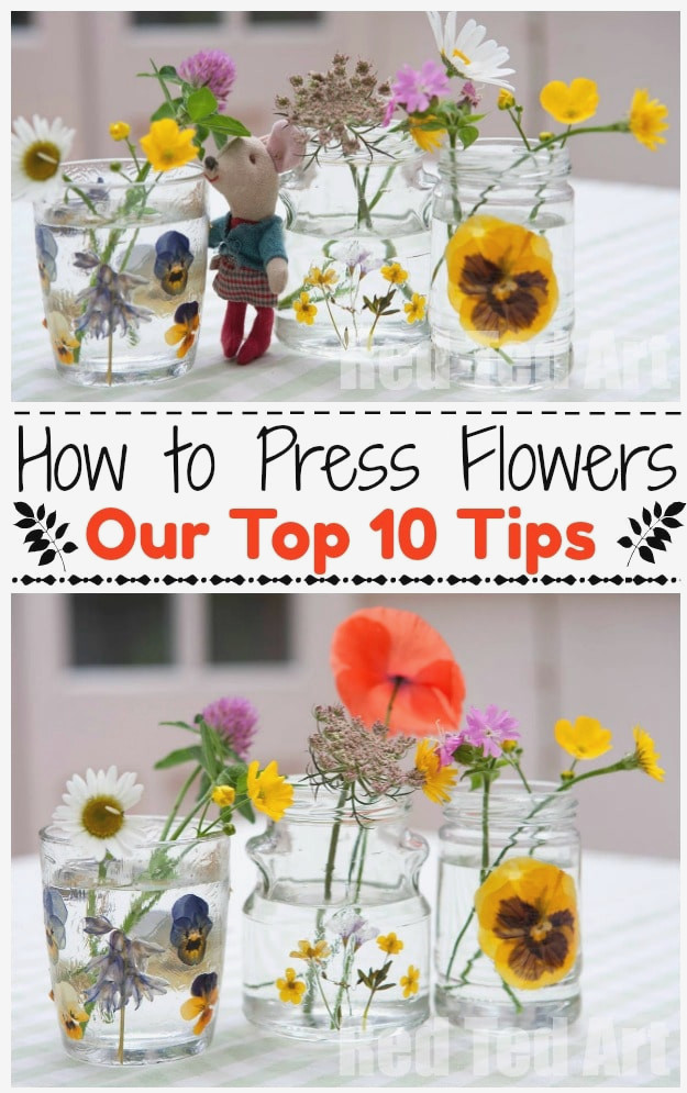 Learn How To Press Flowers with kids today - our TOP 10 TIPS for getting great results! We love Flowers and preserving them. Have a go. #flowers #pressedflowers #howto #kids #summer