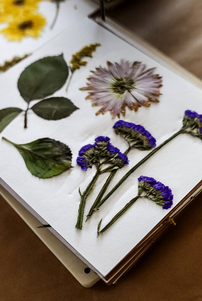 flowers in flower press