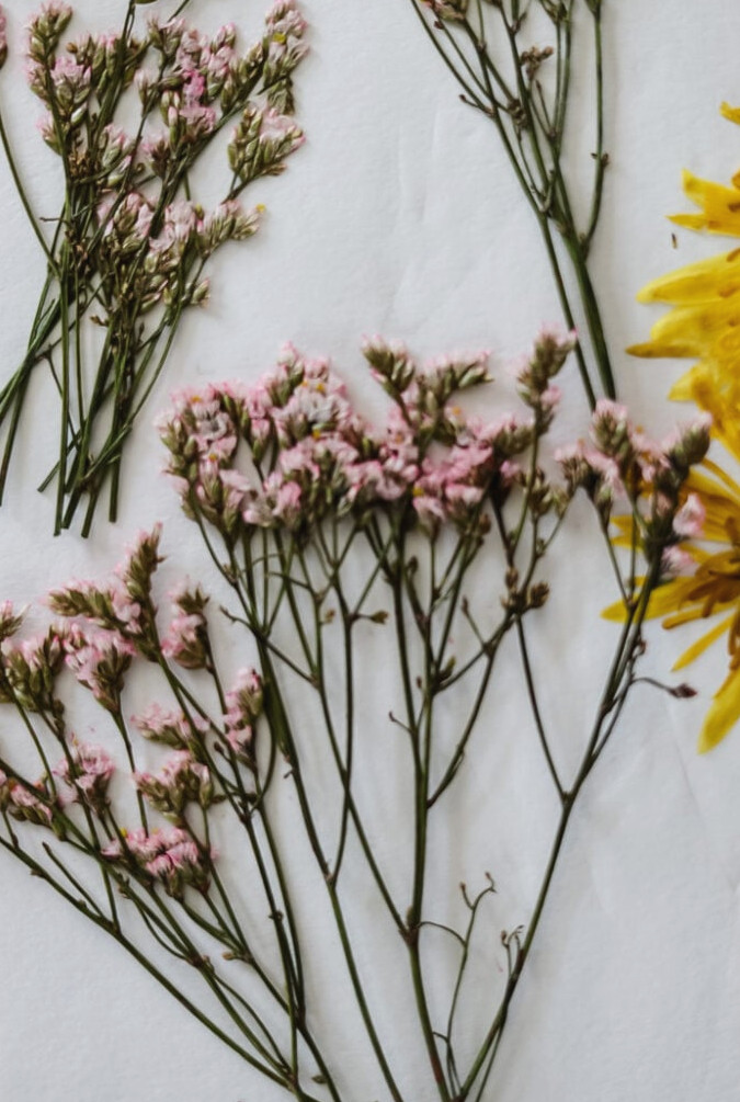 dried pink flowers