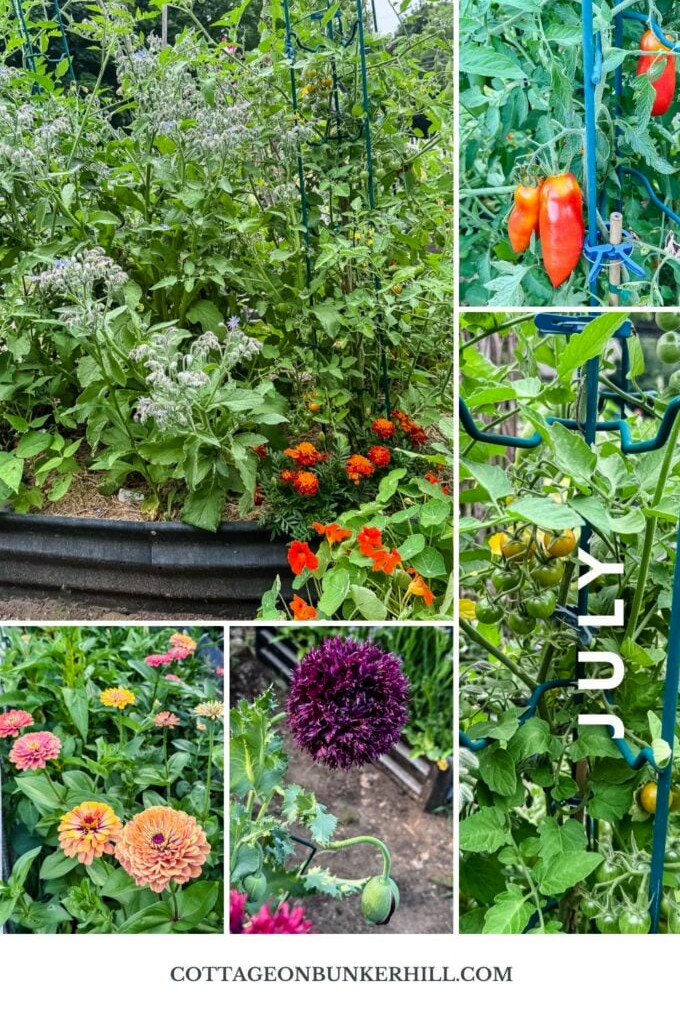 collage of garden photos