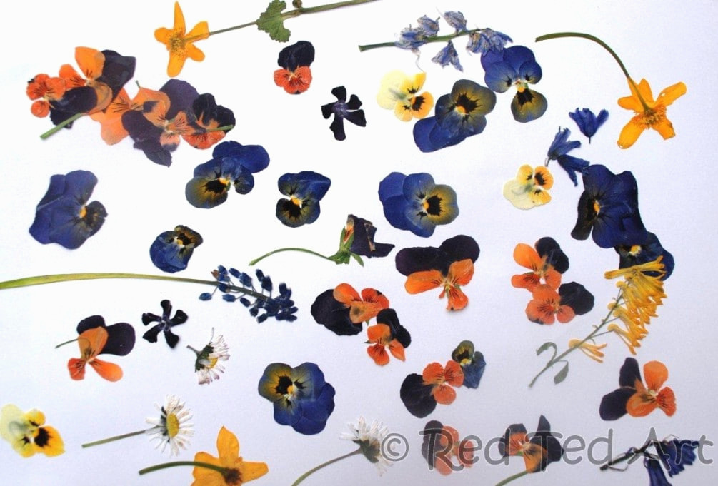 pressed flower crafts