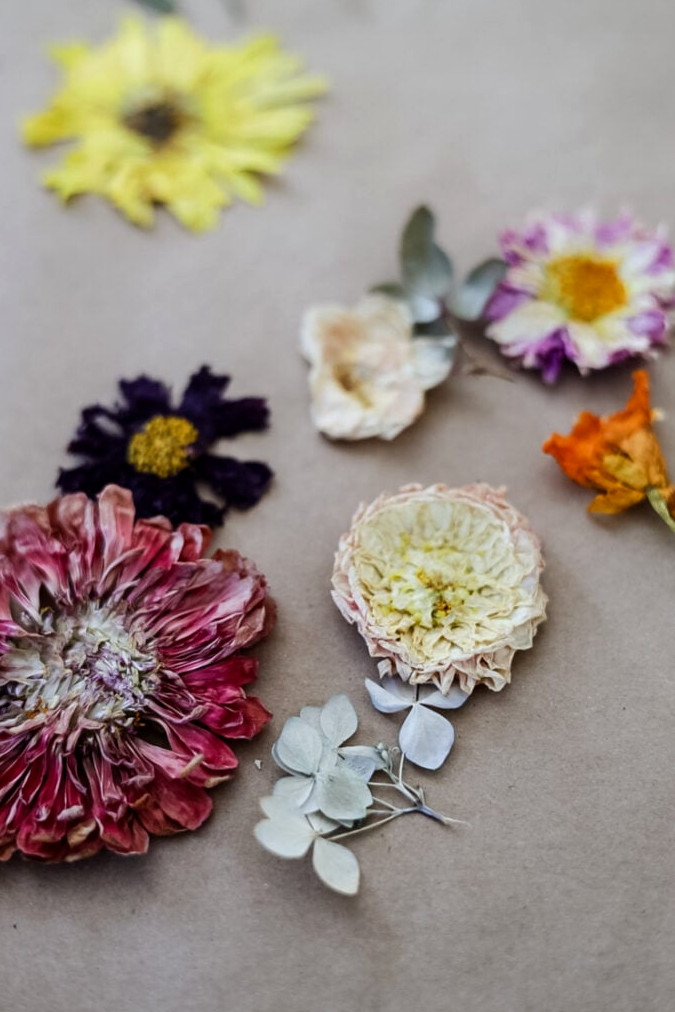 pressed flowers