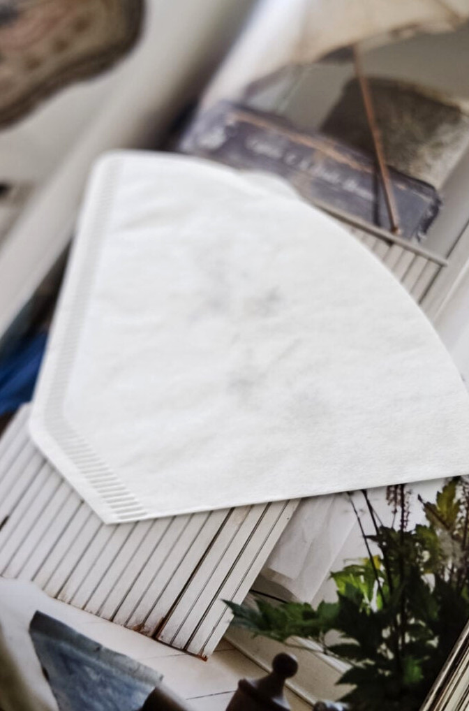 pressing flowers in between a coffee filter in a book