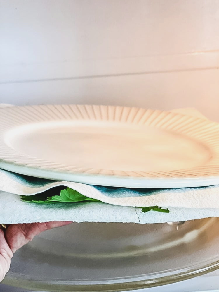 flowers being pressed in the microwave