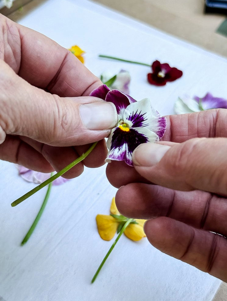 holding a pansy