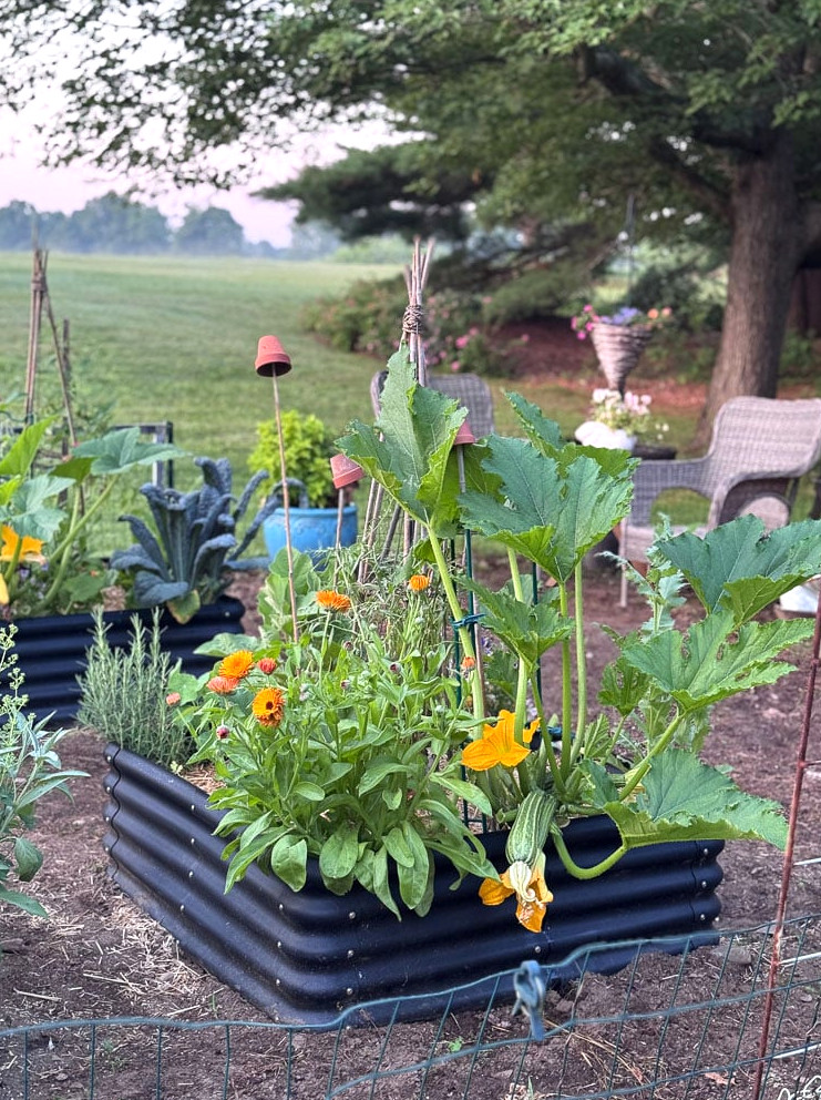 raised garden bed with zucchini and flowers